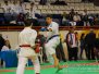 29º Campeonato Brasileiro de Karate-do Goju-ryu - Dia 15