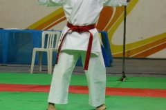 AdJ_29_Campeonato_Brasileiro_Karate_Goju-ryu_Dia16_001