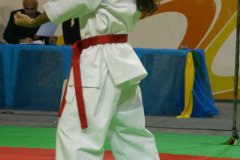 AdJ_29_Campeonato_Brasileiro_Karate_Goju-ryu_Dia16_003