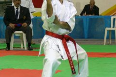 AdJ_29_Campeonato_Brasileiro_Karate_Goju-ryu_Dia16_005