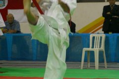 AdJ_29_Campeonato_Brasileiro_Karate_Goju-ryu_Dia16_006