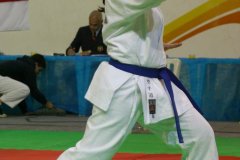 AdJ_29_Campeonato_Brasileiro_Karate_Goju-ryu_Dia16_008