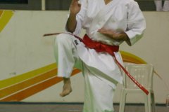 AdJ_29_Campeonato_Brasileiro_Karate_Goju-ryu_Dia16_011