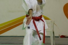 AdJ_29_Campeonato_Brasileiro_Karate_Goju-ryu_Dia16_013