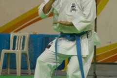 AdJ_29_Campeonato_Brasileiro_Karate_Goju-ryu_Dia16_015