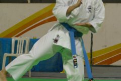 AdJ_29_Campeonato_Brasileiro_Karate_Goju-ryu_Dia16_016