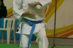AdJ_29_Campeonato_Brasileiro_Karate_Goju-ryu_Dia16_018