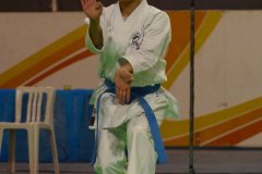 AdJ_29_Campeonato_Brasileiro_Karate_Goju-ryu_Dia16_020