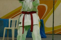 AdJ_29_Campeonato_Brasileiro_Karate_Goju-ryu_Dia16_021