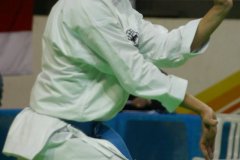 AdJ_29_Campeonato_Brasileiro_Karate_Goju-ryu_Dia16_026