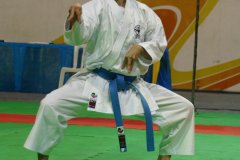 AdJ_29_Campeonato_Brasileiro_Karate_Goju-ryu_Dia16_028