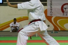 AdJ_29_Campeonato_Brasileiro_Karate_Goju-ryu_Dia16_032