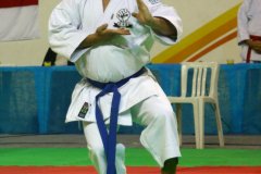 AdJ_29_Campeonato_Brasileiro_Karate_Goju-ryu_Dia16_035