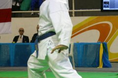 AdJ_29_Campeonato_Brasileiro_Karate_Goju-ryu_Dia16_039