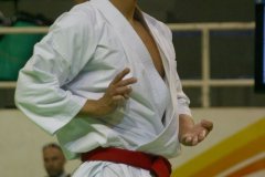 AdJ_29_Campeonato_Brasileiro_Karate_Goju-ryu_Dia16_045