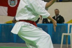 AdJ_29_Campeonato_Brasileiro_Karate_Goju-ryu_Dia16_046