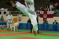 AdJ_29_Campeonato_Brasileiro_Karate_Goju-ryu_Dia16_050