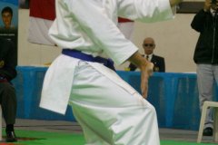 AdJ_29_Campeonato_Brasileiro_Karate_Goju-ryu_Dia16_055