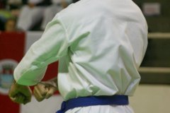 AdJ_29_Campeonato_Brasileiro_Karate_Goju-ryu_Dia16_056