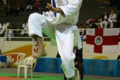 AdJ_29_Campeonato_Brasileiro_Karate_Goju-ryu_Dia16_058