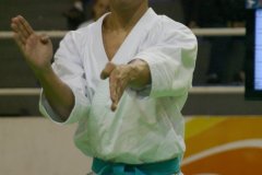AdJ_29_Campeonato_Brasileiro_Karate_Goju-ryu_Dia16_061