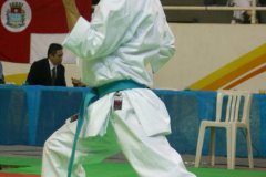 AdJ_29_Campeonato_Brasileiro_Karate_Goju-ryu_Dia16_062