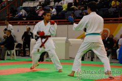 AdJ_29_Campeonato_Brasileiro_Karate_Goju-ryu_Dia16_075