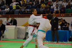 AdJ_29_Campeonato_Brasileiro_Karate_Goju-ryu_Dia16_076
