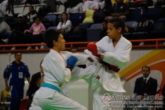 AdJ_29_Campeonato_Brasileiro_Karate_Goju-ryu_Dia16_077