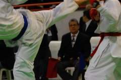 AdJ_29_Campeonato_Brasileiro_Karate_Goju-ryu_Dia16_078
