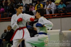 AdJ_29_Campeonato_Brasileiro_Karate_Goju-ryu_Dia16_079