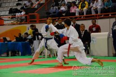 AdJ_29_Campeonato_Brasileiro_Karate_Goju-ryu_Dia16_081