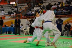 AdJ_29_Campeonato_Brasileiro_Karate_Goju-ryu_Dia16_082