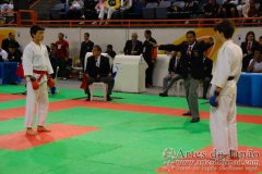 AdJ_29_Campeonato_Brasileiro_Karate_Goju-ryu_Dia16_087