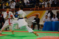 AdJ_29_Campeonato_Brasileiro_Karate_Goju-ryu_Dia16_094