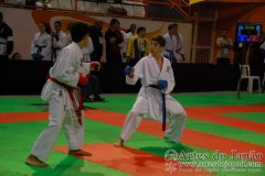 AdJ_29_Campeonato_Brasileiro_Karate_Goju-ryu_Dia16_097