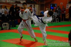 AdJ_29_Campeonato_Brasileiro_Karate_Goju-ryu_Dia16_098