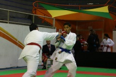 AdJ_29_Campeonato_Brasileiro_Karate_Goju-ryu_Dia16_100