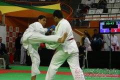 AdJ_29_Campeonato_Brasileiro_Karate_Goju-ryu_Dia16_101