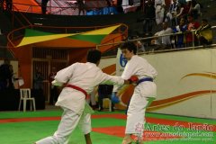 AdJ_29_Campeonato_Brasileiro_Karate_Goju-ryu_Dia16_119