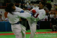 AdJ_29_Campeonato_Brasileiro_Karate_Goju-ryu_Dia16_127