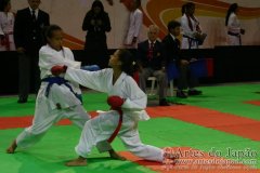 AdJ_29_Campeonato_Brasileiro_Karate_Goju-ryu_Dia16_134