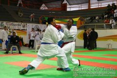 AdJ_29_Campeonato_Brasileiro_Karate_Goju-ryu_Dia16_203