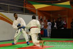 AdJ_29_Campeonato_Brasileiro_Karate_Goju-ryu_Dia16_224