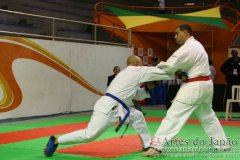 AdJ_29_Campeonato_Brasileiro_Karate_Goju-ryu_Dia16_228