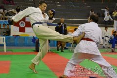 AdJ_29_Campeonato_Brasileiro_Karate_Goju-ryu_Dia16_239