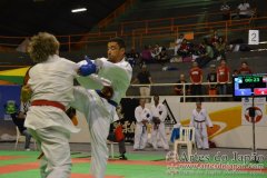 AdJ_29_Campeonato_Brasileiro_Karate_Goju-ryu_Dia16_243