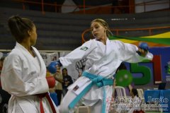 AdJ_29_Campeonato_Brasileiro_Karate_Goju-ryu_Dia16_244