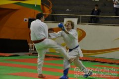 AdJ_29_Campeonato_Brasileiro_Karate_Goju-ryu_Dia16_247