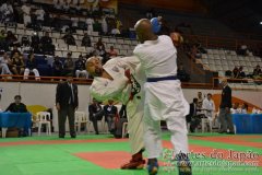 AdJ_29_Campeonato_Brasileiro_Karate_Goju-ryu_Dia16_255